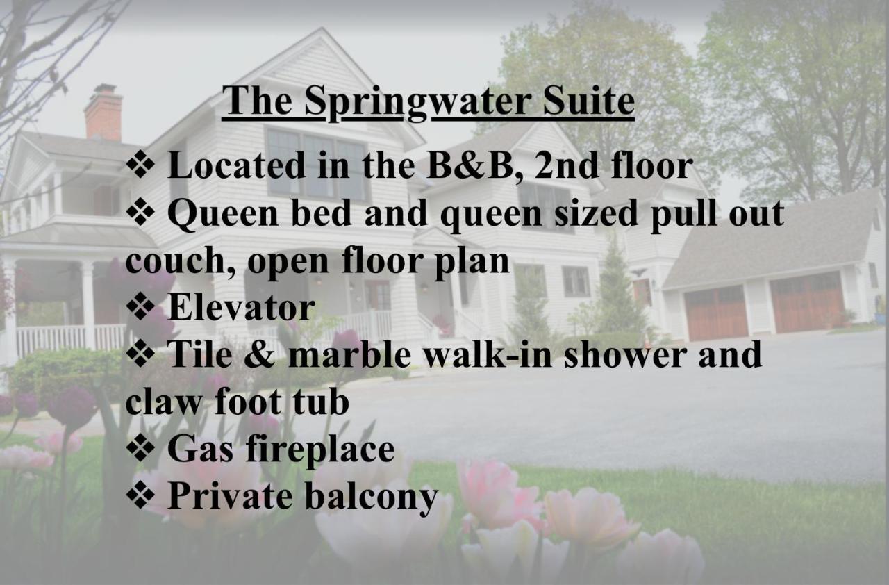 The Springwater Bed And Breakfast Saratoga Springs Exterior photo