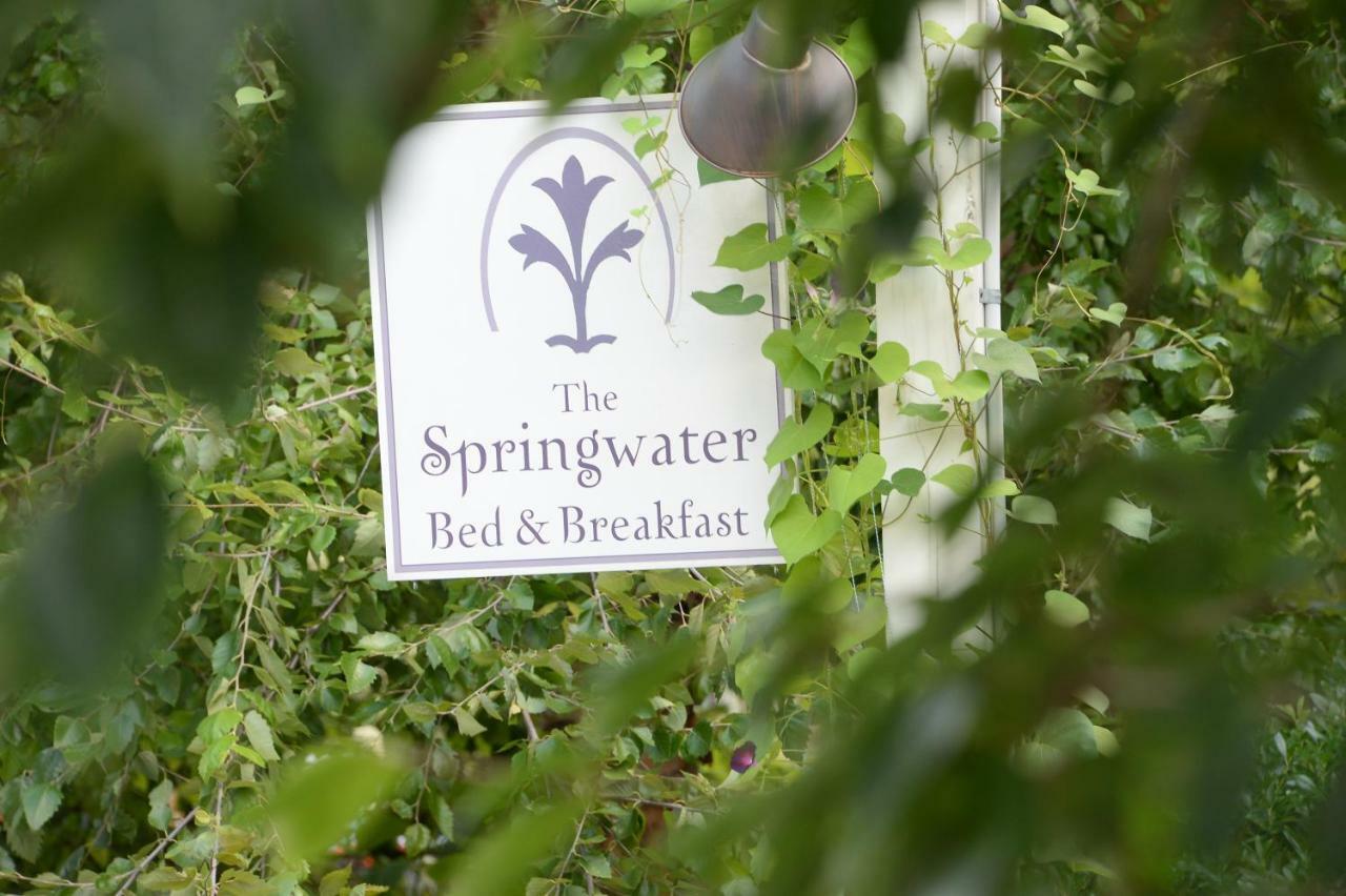 The Springwater Bed And Breakfast Saratoga Springs Exterior photo