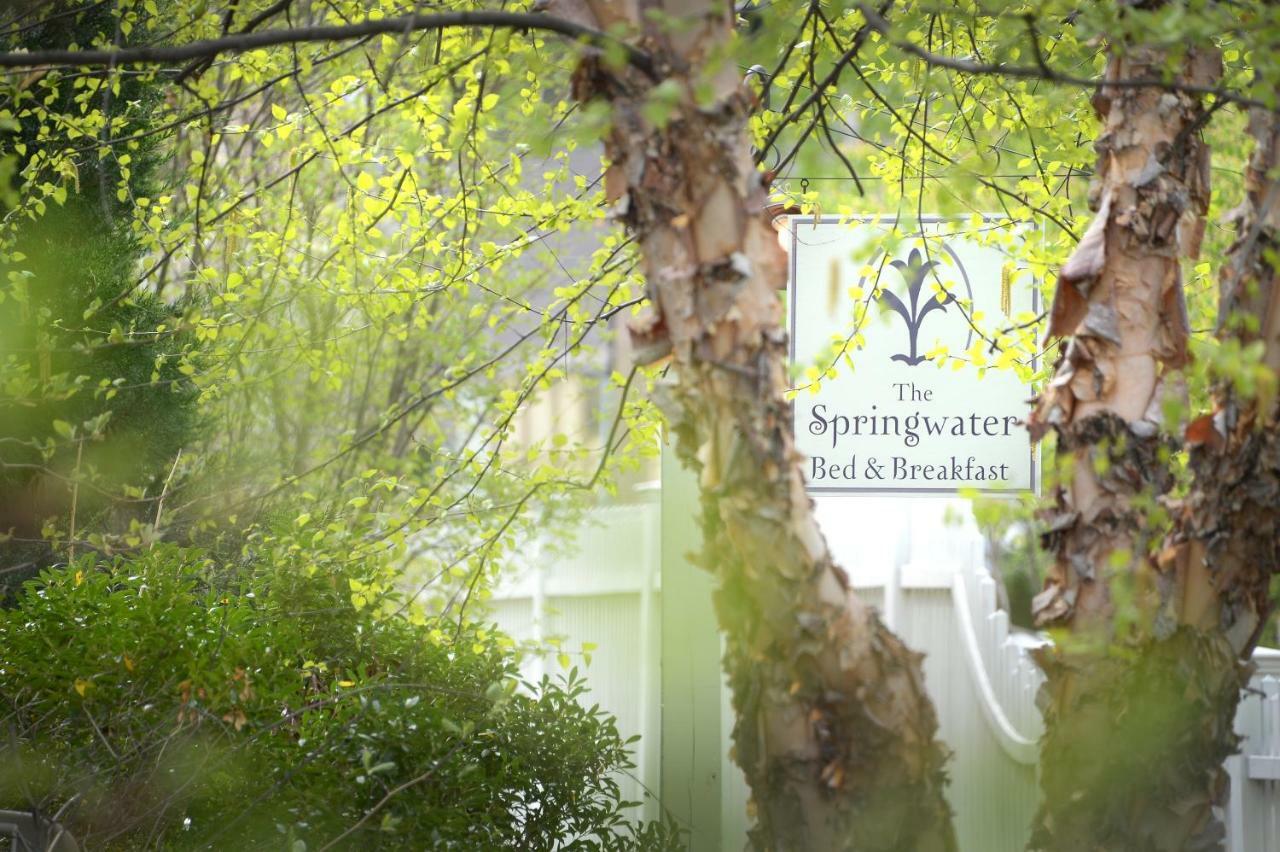 The Springwater Bed And Breakfast Saratoga Springs Exterior photo